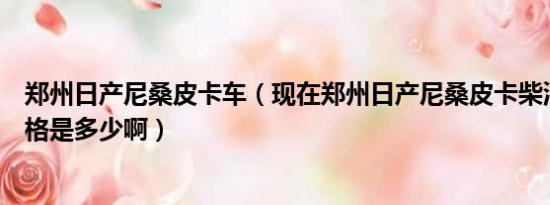 郑州日产尼桑皮卡车（现在郑州日产尼桑皮卡柴油版市场价格是多少啊）