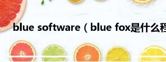 blue software（blue fox是什么程序）