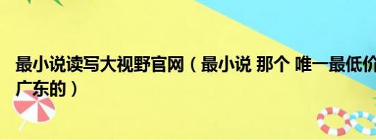 最小说读写大视野官网（最小说 那个 唯一最低价 怎么发 我广东的）