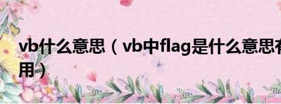 vb什么意思（vb中flag是什么意思有什么作用）