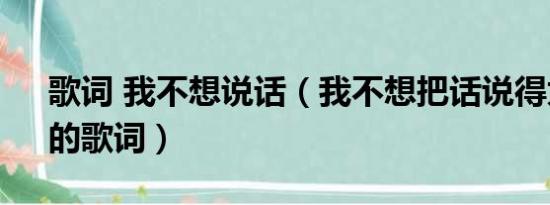 歌词 我不想说话（我不想把话说得太清楚、的歌词）