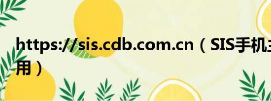 https://sis.cdb.com.cn（SIS手机主题如何用）