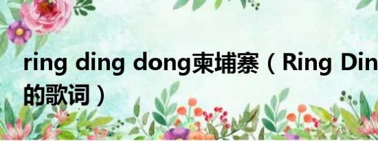 ring ding dong柬埔寨（Ring Ding Dong的歌词）