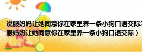 说服妈妈让她同意你在家里养一条小狗口语交际怎么写（说服妈妈让她同意你在家里养一条小狗口语交际）