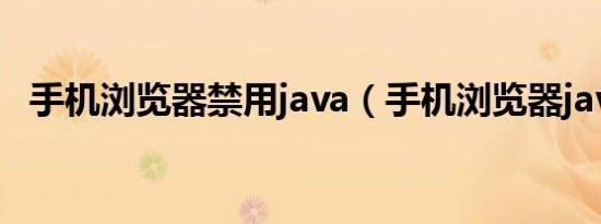 手机浏览器禁用java（手机浏览器java版）