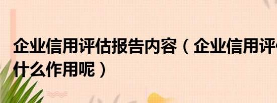 企业信用评估报告内容（企业信用评估报告有什么作用呢）