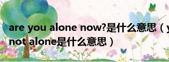 are you alone now?是什么意思（you are not alone是什么意思）