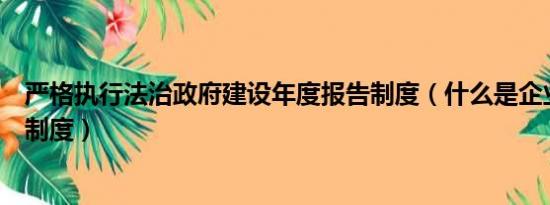 严格执行法治政府建设年度报告制度（什么是企业年度报告制度）