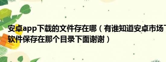 安卓app下载的文件存在哪（有谁知道安卓市场下载回来的软件保存在那个目录下面谢谢）
