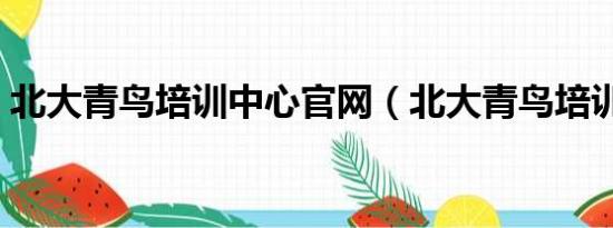 北大青鸟培训中心官网（北大青鸟培训中心）