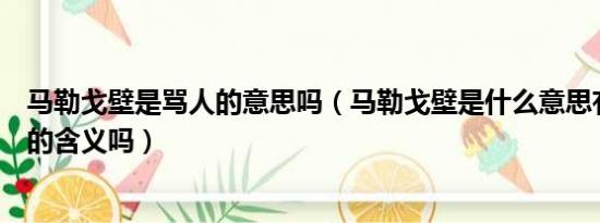 马勒戈壁是骂人的意思吗（马勒戈壁是什么意思有什么特殊的含义吗）