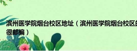 滨州医学院烟台校区地址（滨州医学院烟台校区的具体地址很邮编）