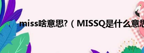 miss啥意思?（MISSQ是什么意思）