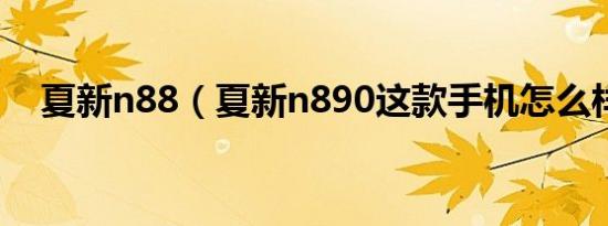 夏新n88（夏新n890这款手机怎么样呀）