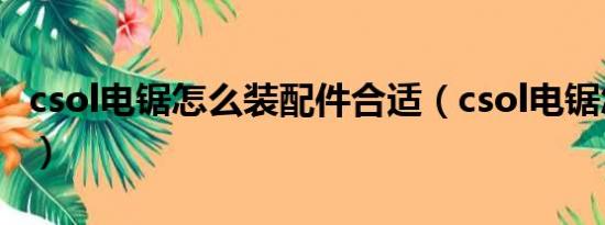 csol电锯怎么装配件合适（csol电锯怎么样啊）