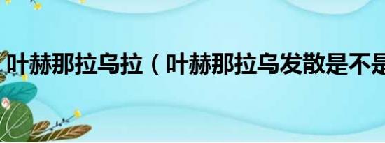 叶赫那拉乌拉（叶赫那拉乌发散是不是真的）