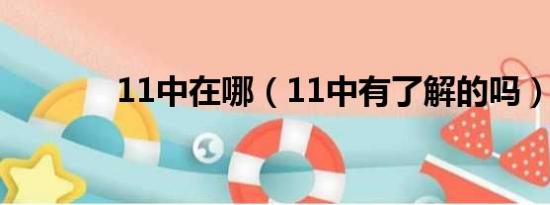 11中在哪（11中有了解的吗）