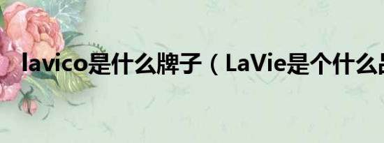 lavico是什么牌子（LaVie是个什么品牌）