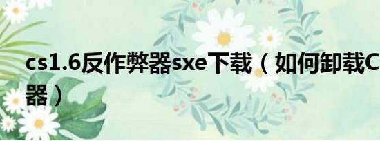 cs1.6反作弊器sxe下载（如何卸载CS反作弊器）