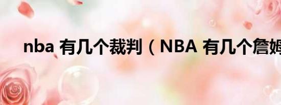 nba 有几个裁判（NBA 有几个詹姆斯）