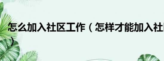 怎么加入社区工作（怎样才能加入社区家族啊）