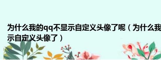 为什么我的qq不显示自定义头像了呢（为什么我的QQ不显示自定义头像了）