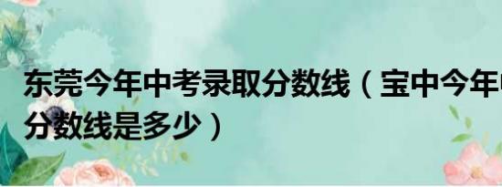 东莞今年中考录取分数线（宝中今年中考录取分数线是多少）