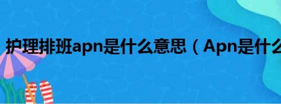 护理排班apn是什么意思（Apn是什么意思）