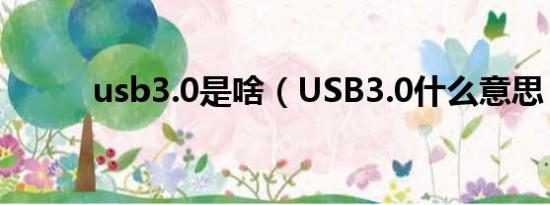 usb3.0是啥（USB3.0什么意思）