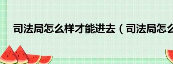 司法局怎么样才能进去（司法局怎么样）