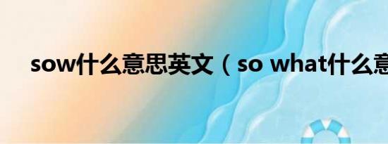 sow什么意思英文（so what什么意思）