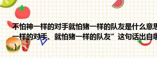 不怕神一样的对手就怕猪一样的队友是什么意思（“不怕神一样的对手、就怕猪一样的队友”这句话出自哪里是谁说的）