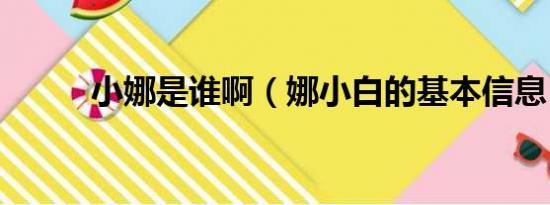 小娜是谁啊（娜小白的基本信息）