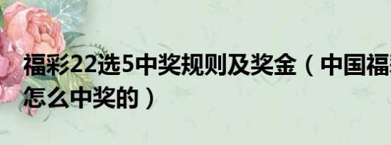 福彩22选5中奖规则及奖金（中国福彩22选5怎么中奖的）