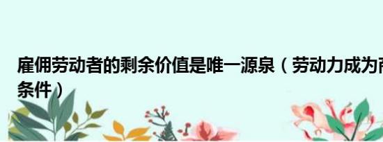 雇佣劳动者的剩余价值是唯一源泉（劳动力成为商品的基本条件）