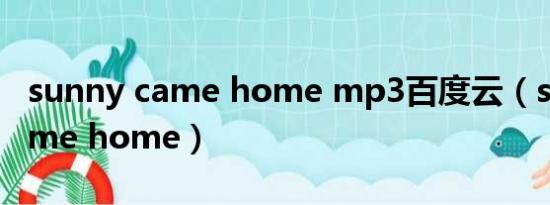 sunny came home mp3百度云（sunny came home）