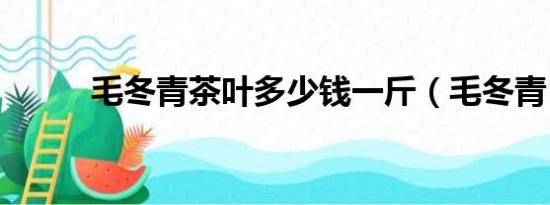 毛冬青茶叶多少钱一斤（毛冬青）