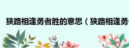 狭路相逢勇者胜的意思（狭路相逢勇者胜）