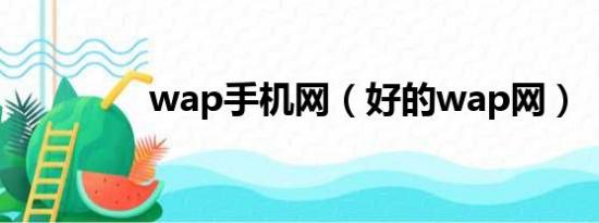 wap手机网（好的wap网）