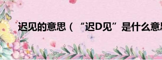 迟见的意思（“迟D见”是什么意思）