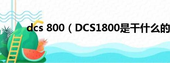 dcs 800（DCS1800是干什么的）