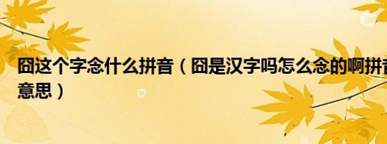 囧这个字念什么拼音（囧是汉字吗怎么念的啊拼音是么什么意思）