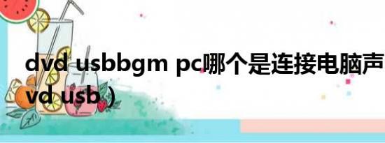 dvd usbbgm pc哪个是连接电脑声音的（dvd usb）