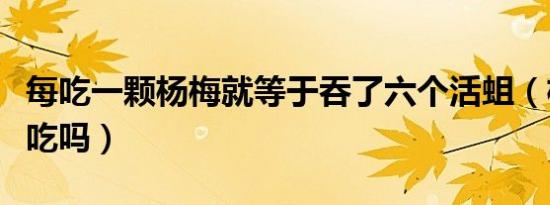 每吃一颗杨梅就等于吞了六个活蛆（杨梅核能吃吗）