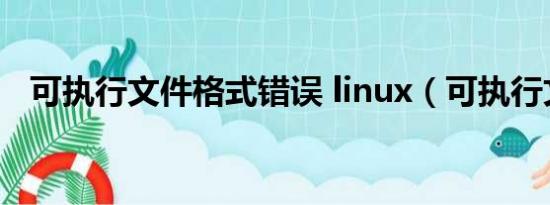 可执行文件格式错误 linux（可执行文件）