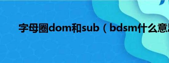 字母圈dom和sub（bdsm什么意思）