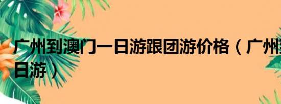 广州到澳门一日游跟团游价格（广州到澳门一日游）