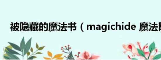 被隐藏的魔法书（magichide 魔法隐藏）