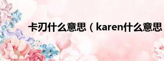 卡刃什么意思（karen什么意思）