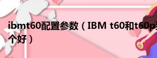 ibmt60配置参数（IBM t60和t60p到底选哪个好）